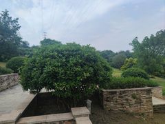 -张坝桂圆林公园