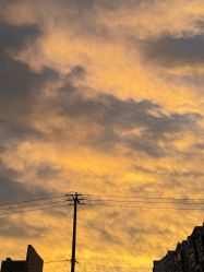 -POCO宝珂丽科技美肤