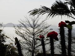 -胡里山炮台