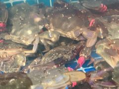 -宾朋海鲜特色美食餐厅·纯手工鲅鱼水饺(兴海路店)