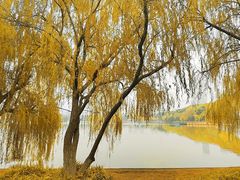 -食膳公园包子铺(烈士公园店)