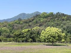 -福建鲤鱼洲酒店