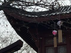 -堤角公园