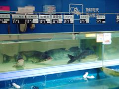 -沃尔玛超市(武侯店)