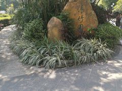 -晓港公园