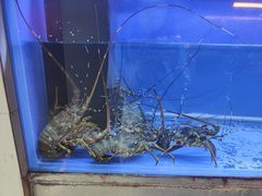 -白仁仔· 活烤海鲜 宵夜(豫园店)