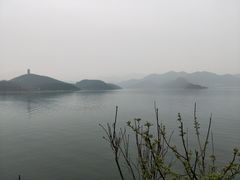 -望湖烤鱼