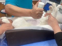 -纳吉亚猫专科动物诊疗中心(蒋宅口分院)
