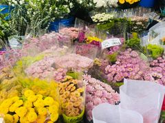 -循礼门鲜花花市(武汉循礼门店)