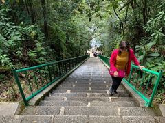 -云南屏边大围山国家公园