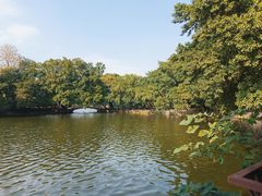 -荔湾湖公园