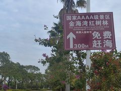 -北海金海湾红树林生态旅游区