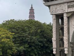 -顺峰山公园