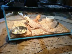 -酷嗒动物文化乐园(cutezoo西溪乐天城店)