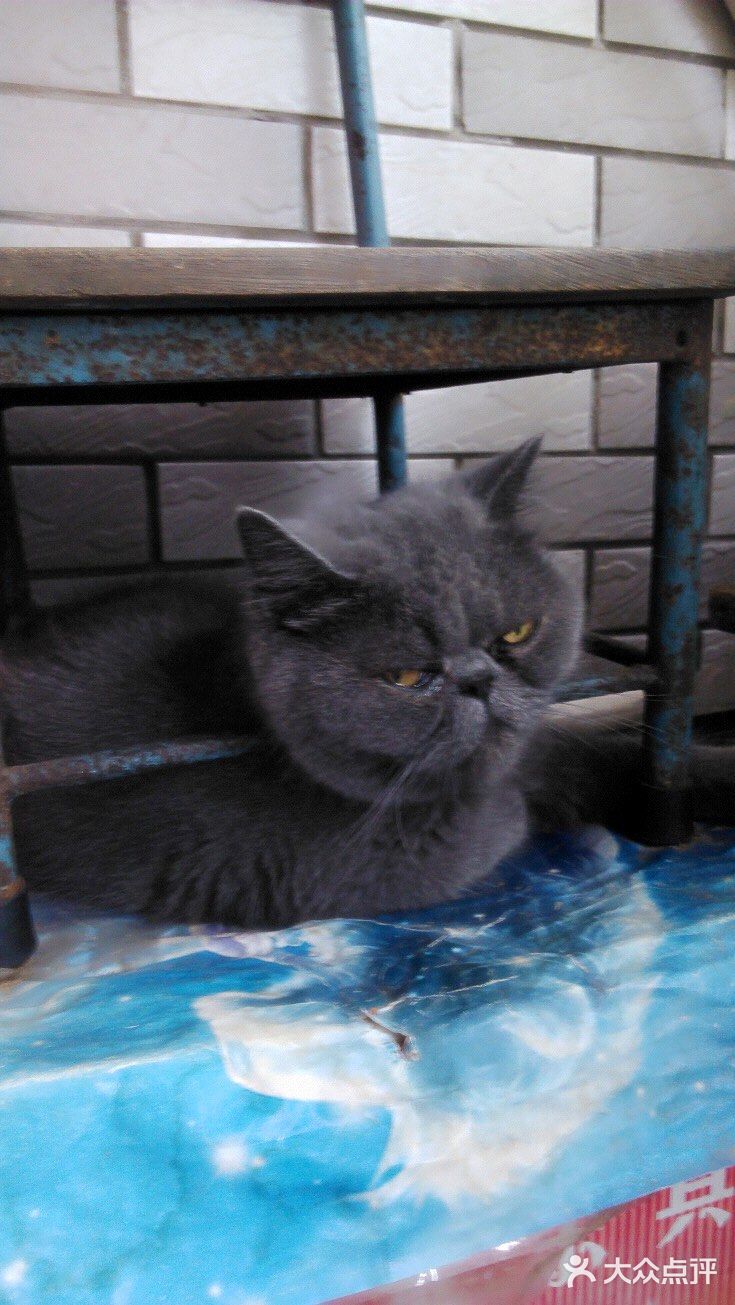 对不起的淘小桃🍑为什么不能珍惜过去的好时光？