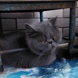 对不起的淘小桃🍑为什么不能珍惜过去的好时光？