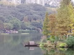 -重庆彩云湖湿地公园