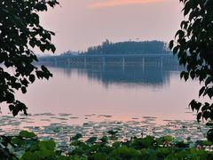 -丁香湖公园