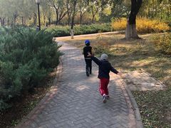 -永定河休闲森林公园