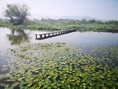 -长兴太湖图影湿地文化园