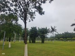 -万绿园