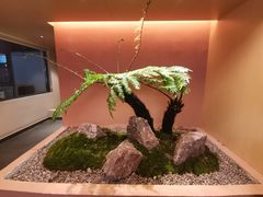 景观位-夷山悦·武夷菜