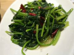 -顺承小院儿