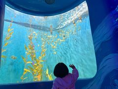 -欢乐海岸海洋奇梦馆