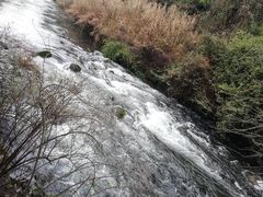 -阿哈湖国家湿地公园