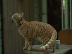 -懒鱼时光馆(沙坪坝店)
