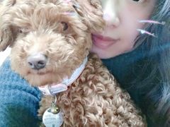 -李小姐の猫咖啡馆(五角场店)