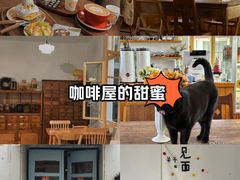 -春风十里咖啡馆