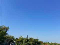 -仙岳公园