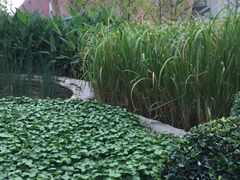 -活水公园