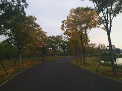 -东湖落雁景区