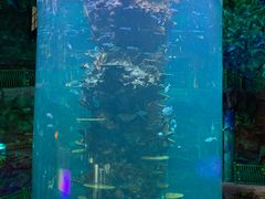 -青岛嘉年华主题乐园