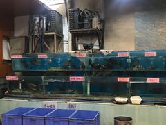 -张记旺角食街(动物园店)