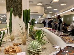 -OUR Bakery(SKP-S店)