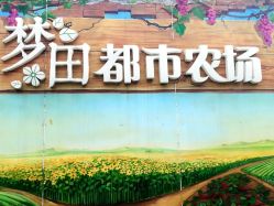 -梦田都市农场(银泰城店)