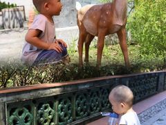 -广州神农草堂中医药博物馆