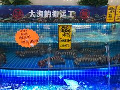 -驻海渔市(置信店)