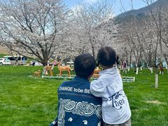 -高岚大峡谷旅游度假区