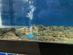 -李东农庄(中南百草园地标店)