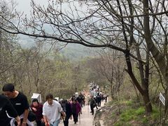 -圌山