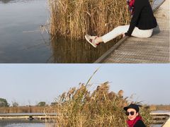 -盐城丹顶鹤湿地生态旅游区