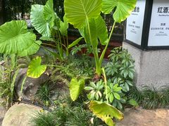 -融汇温泉