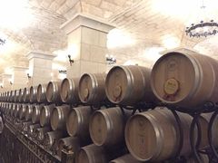 -北京张裕爱斐堡酒庄