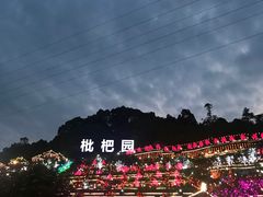-枇杷园食为鲜火锅(南山店)