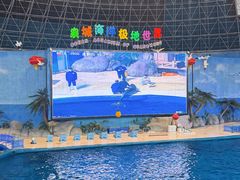 -泉城欧乐堡海洋极地世界