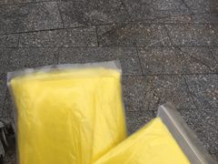 -潭村(地铁站)